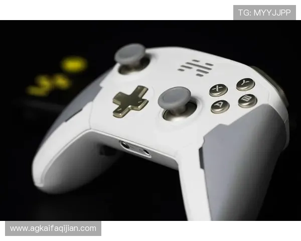 凯发PG电子游艺:丰富的游戏主题设计,满足不同玩家的个性化娱乐偏好 凯发PG电子游艺:丰富的游戏主题设计,满足不同玩家的个性化娱乐偏好